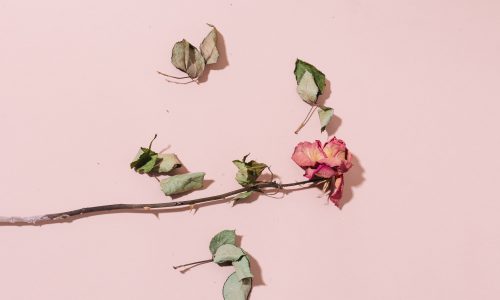 Sinais que você está em um relacionamento abusivo